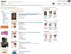 Data Vault Book on Kindle #1