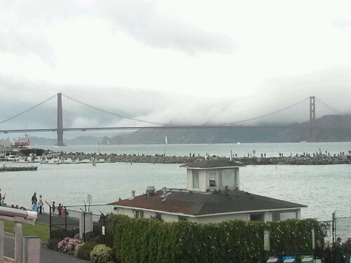 Golden Gate from the East Bleachers at the Americas Cup